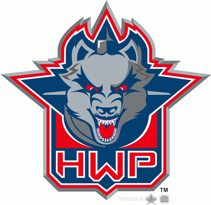 Hartford Wolf Pack 2009 10 Alternate Logo iron on transfers for T-shirts